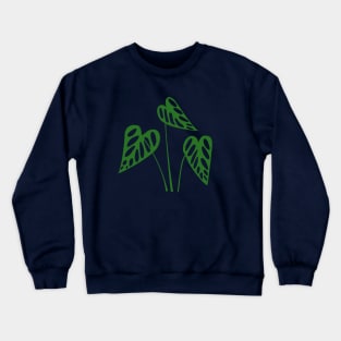 Monstera Obliqua Crewneck Sweatshirt